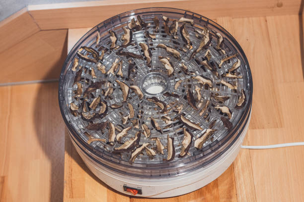 An image showing dead leaves stuck in a vacuum